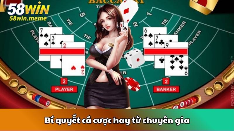 Bí quyết cá cược hay từ chuyên gia