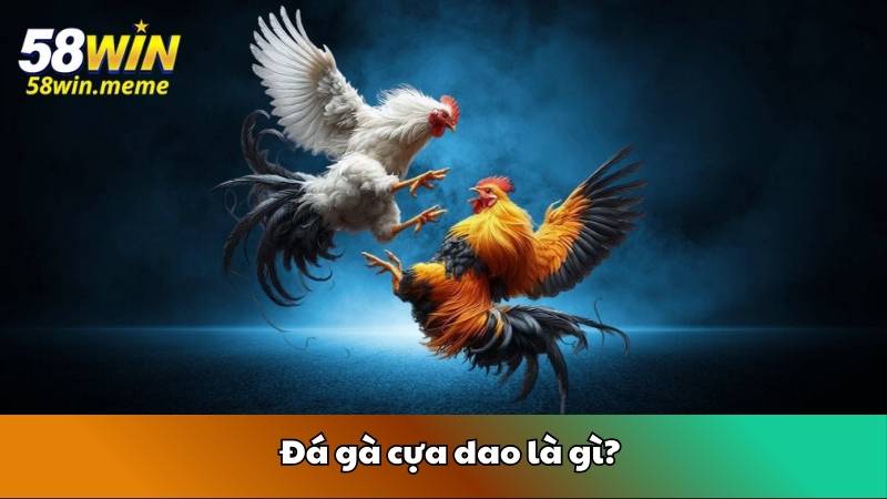 Đá gà cựa dao là gì?