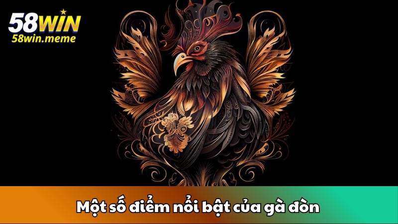 Một số điểm nổi bật của gà đòn