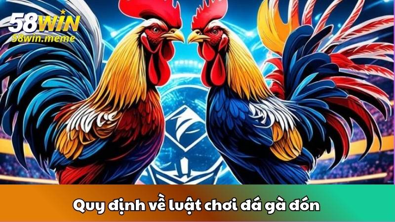 Quy định về luật chơi đá gà đón