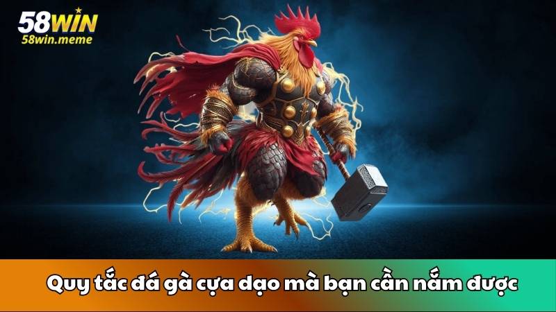 Quy tắc đá gà cựa dạo mà bạn cần nắm được