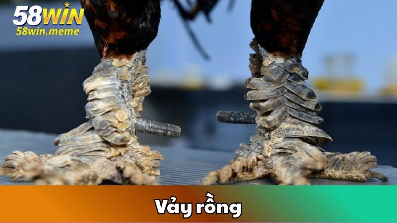 Vảy Rồng
